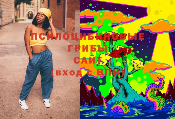 мяу мяу мука Надым