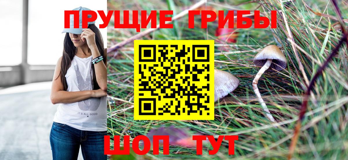 Галлюциногенные грибы Psilocybine cubensis  Апшеронск  Псилоцибиновые грибы мицелий 