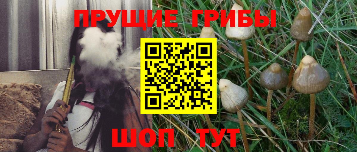 Псилоцибиновые грибы ЛСД Апшеронск