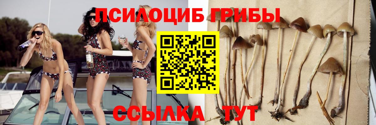 наркотики  Вход с VPN  Апшеронск  Псилоцибиновые грибы прущие грибы  Псилоцибиновые грибы ЛСД 